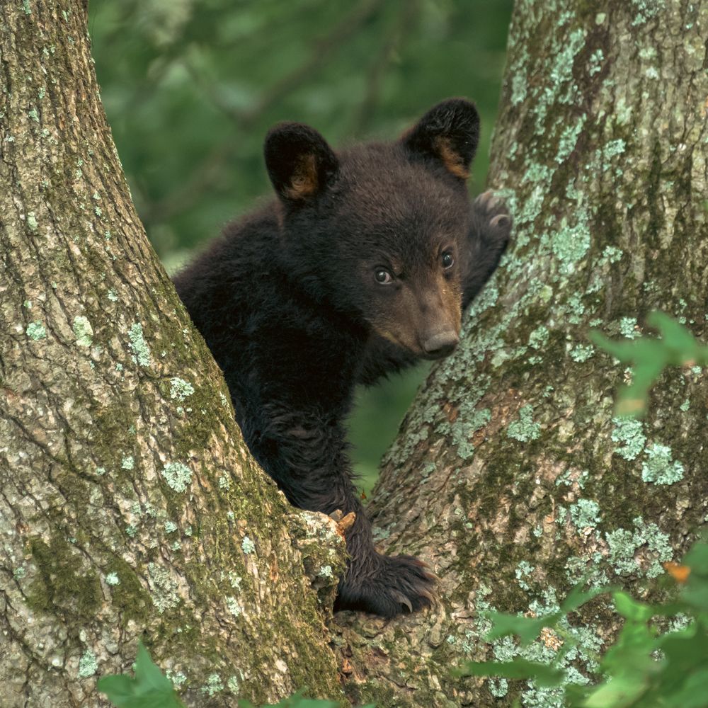 Photograph by Karen Lorenzo