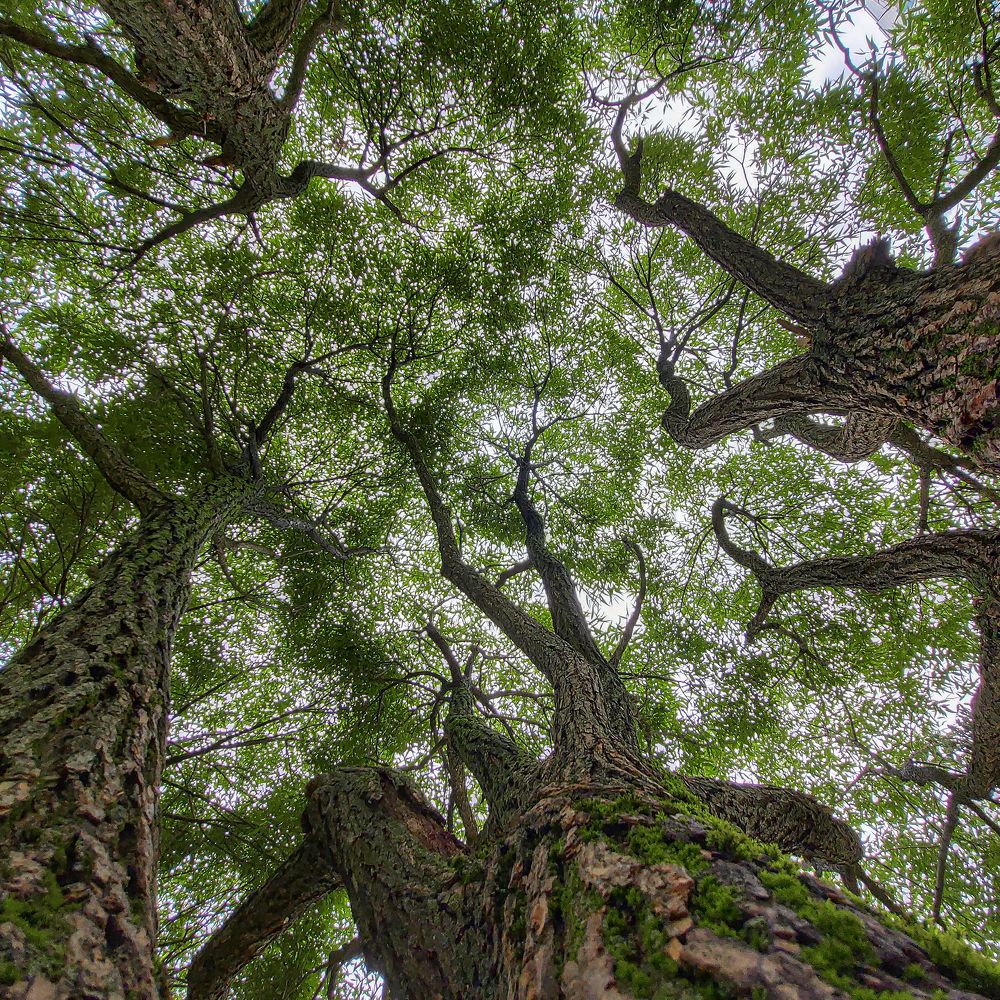 Photograph by Владимир Баулин