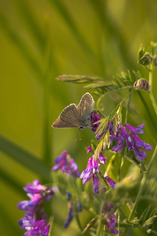 Photograph by Ангелина Высочина