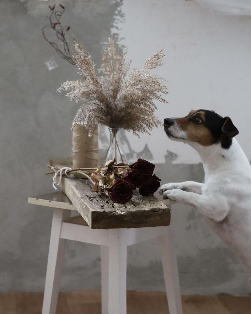 Фотография автора Ирина Мосько