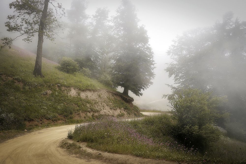 Photograph by somayeh moharami