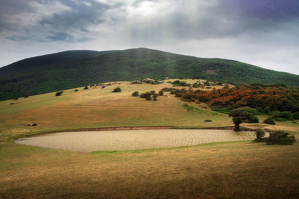 Photograph by somayeh moharami