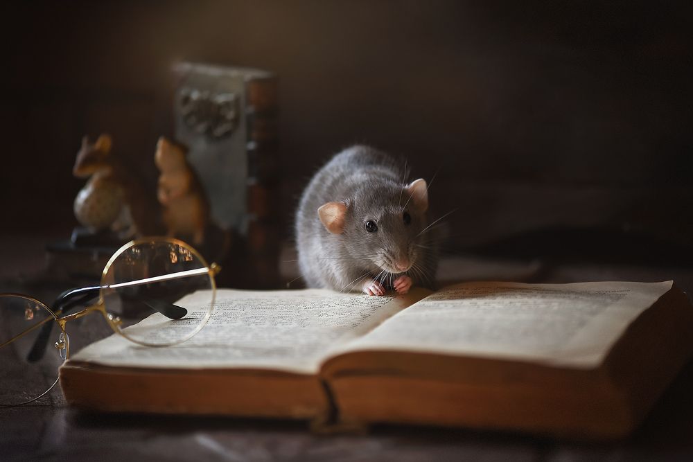 Photograph by Виктория Кос