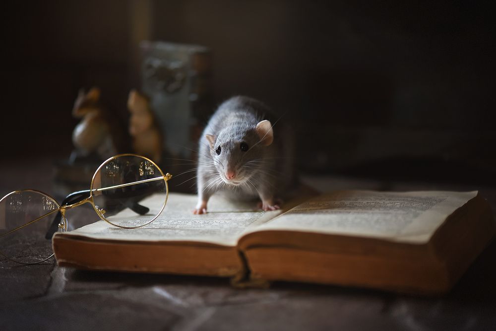 Photograph by Виктория Кос