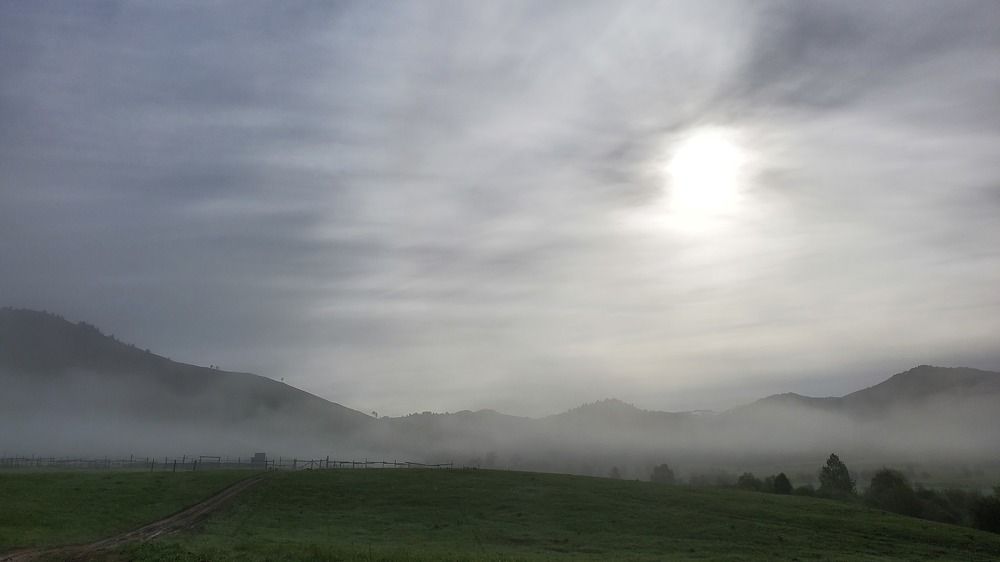 Photo #9264450