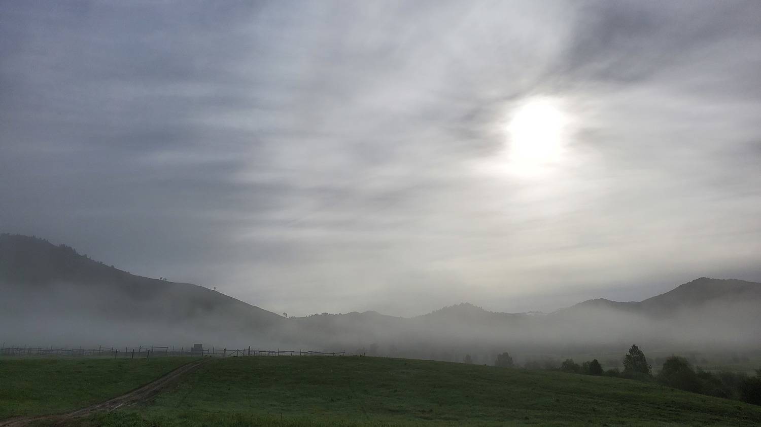 Photo #9264450
