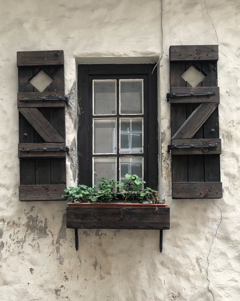 Photograph by Halina Mitsevich