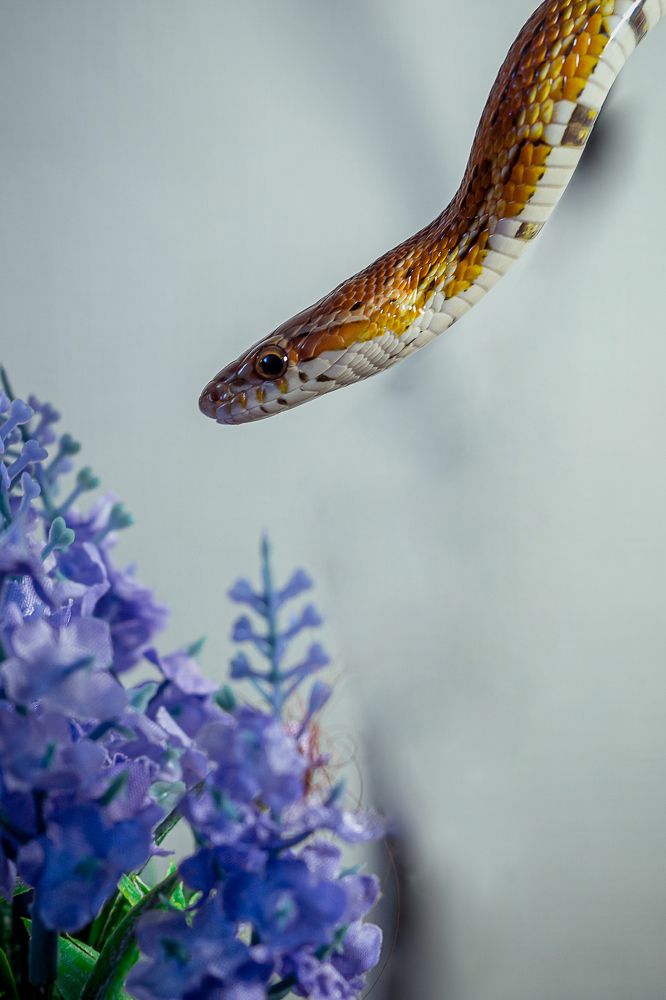 Photograph by Владимир Аверков