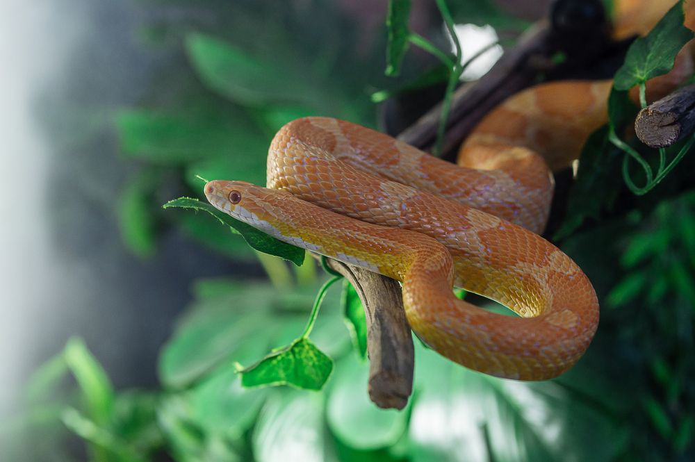 Photograph by Владимир Аверков