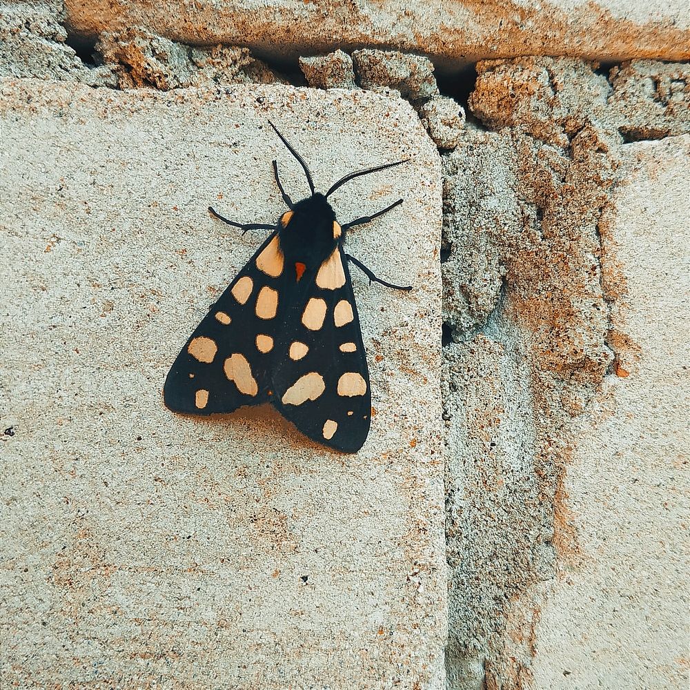 Photograph by Ирина