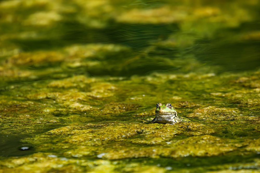 Photograph by Волынский Виктор