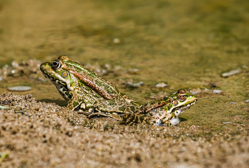 Photograph by Волынский Виктор