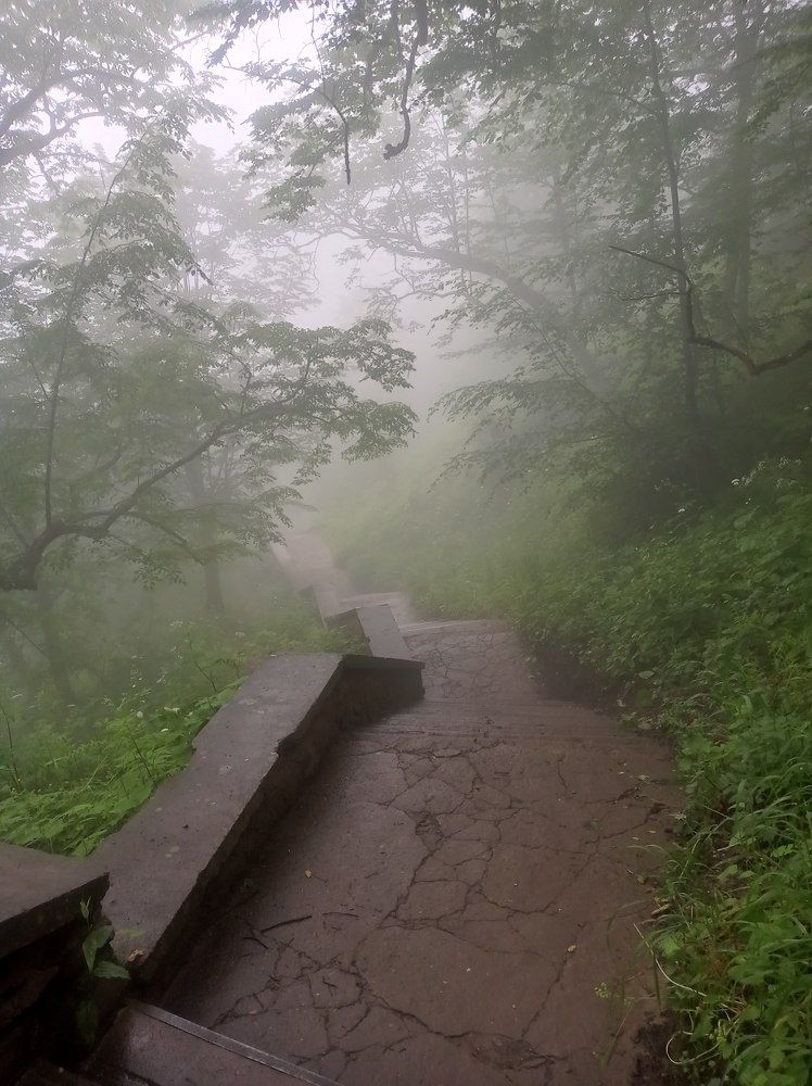 Photograph by Ирина