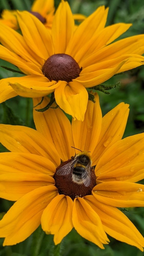 Фотография автора Васильева Ирина