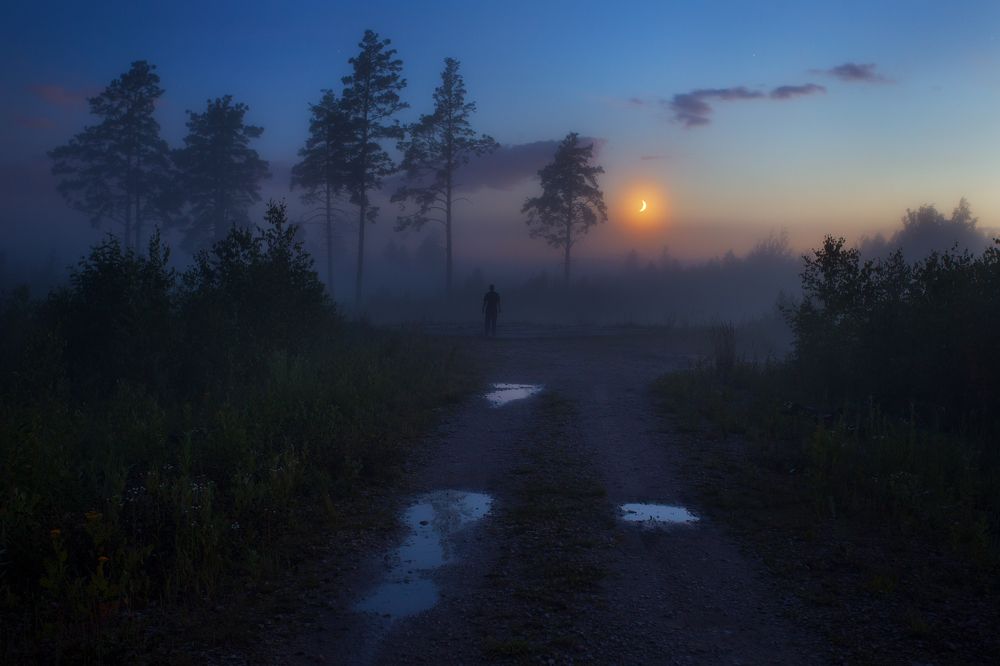 Photograph by Дмиитрий Лабушев