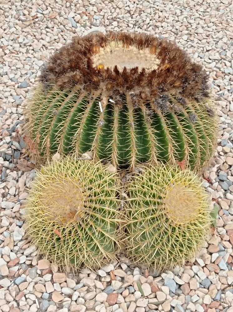 Photograph by Ирина