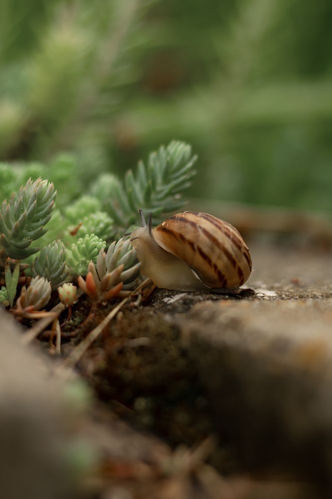 Photograph by Алексей Морозов