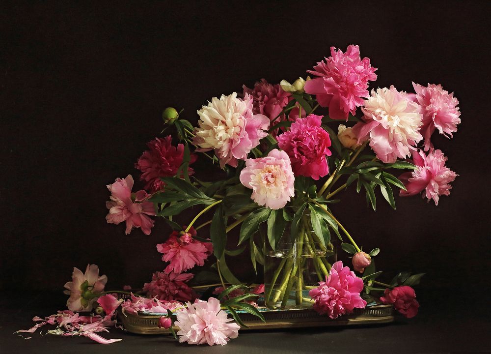 Фотография автора ТАТЬЯНА ЗАХАРОВА