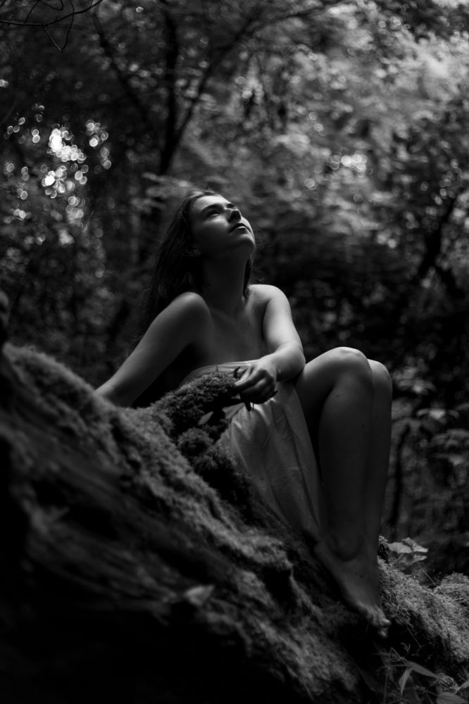 Фотография автора Светлана Лапенко