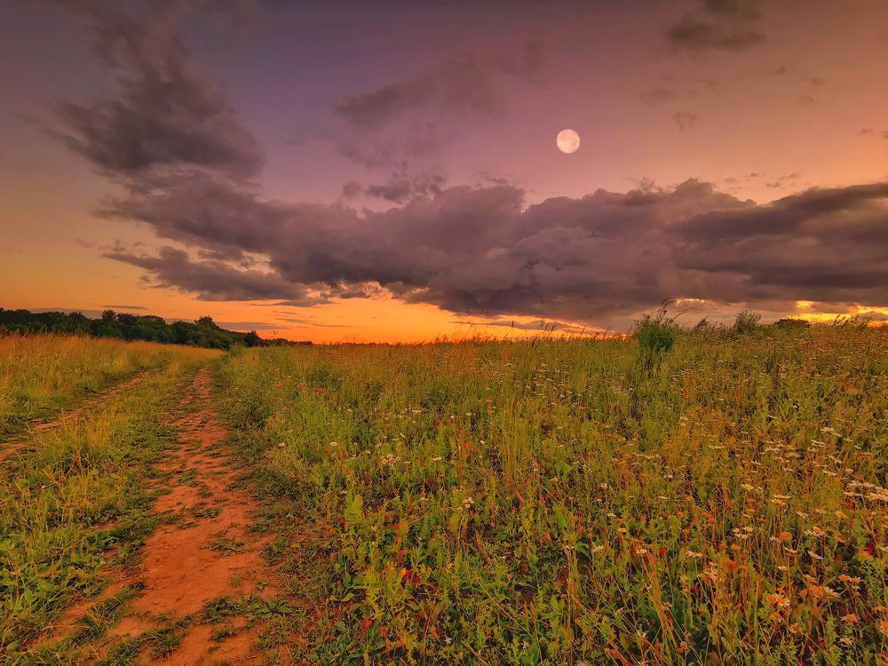 Photograph by Ekaterina Fadeeva