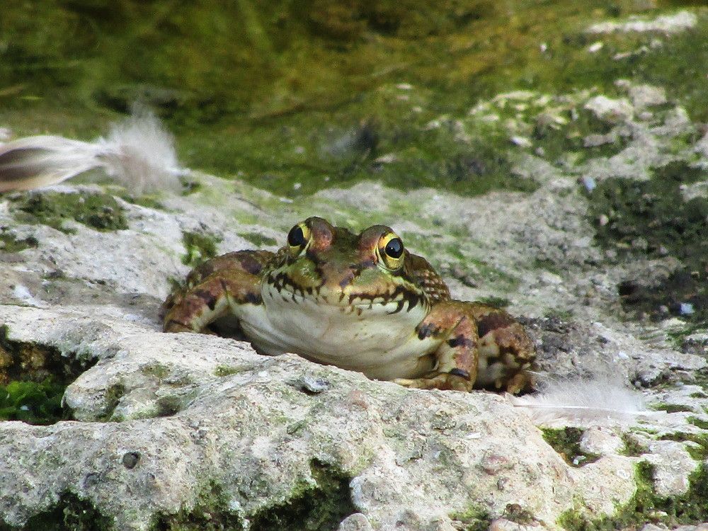 Photograph by Joana Almeida