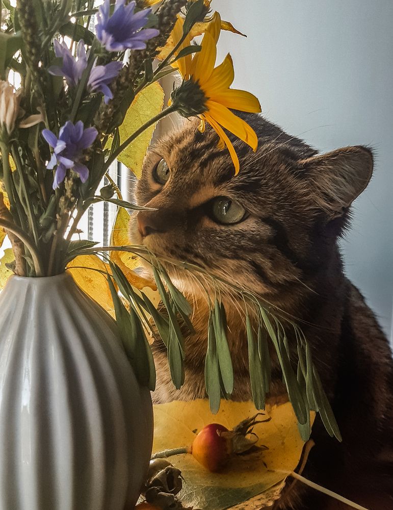 Photograph by Людмила