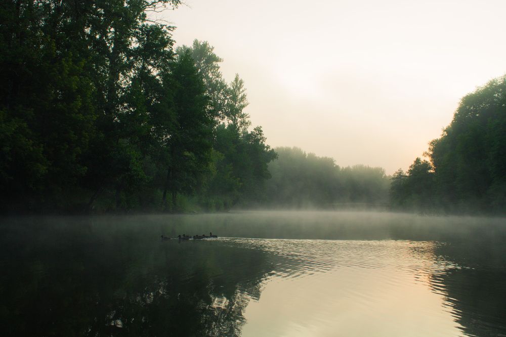 Photograph by Матвей Короткин
