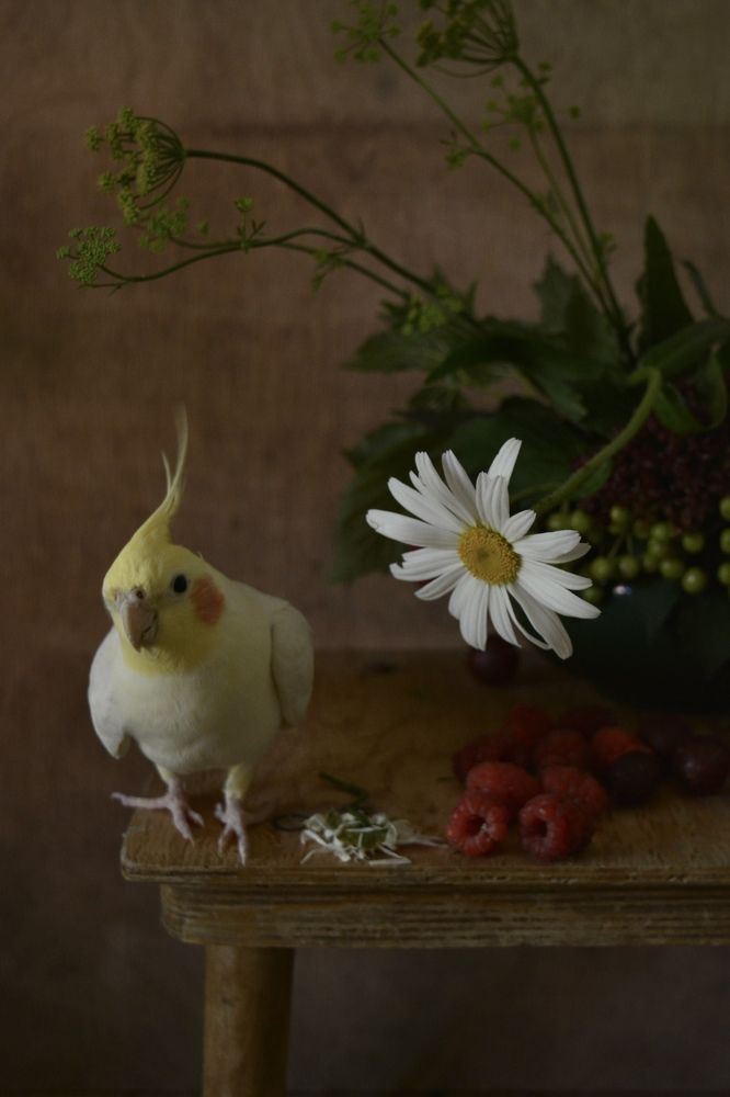 Photograph by Анастасия Денисенко