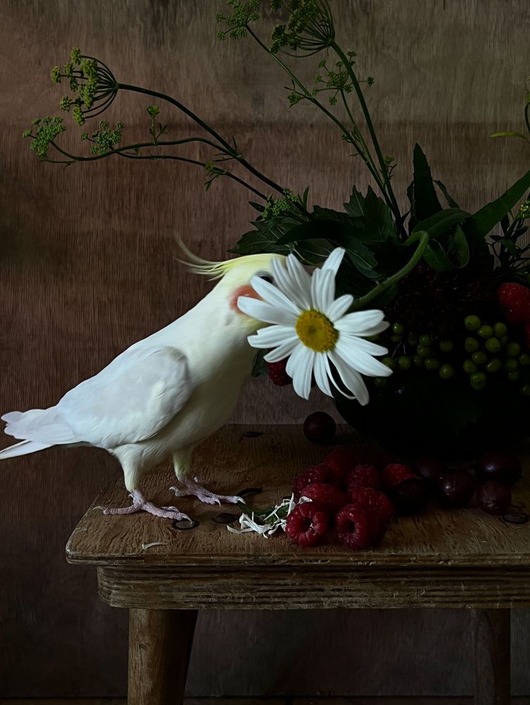 Photograph by Анастасия Денисенко