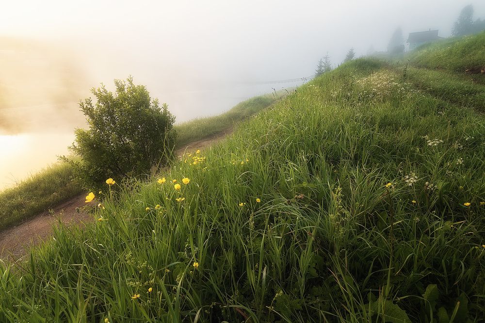 Photograph by Антон Кошетаров