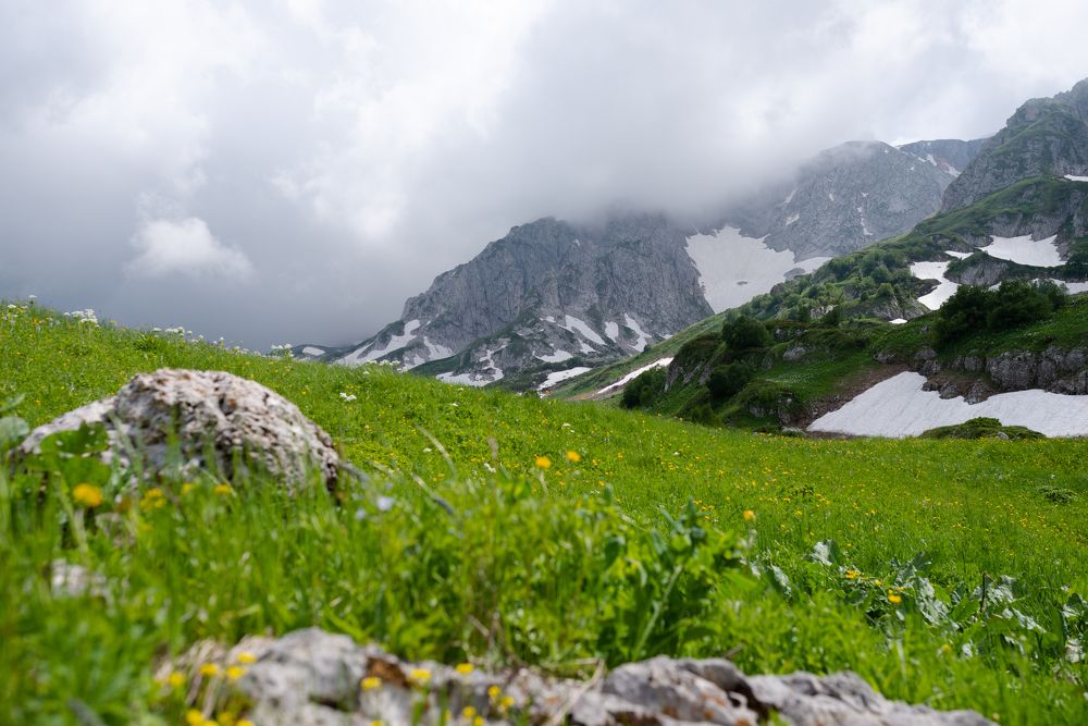 Photograph by Nikolay Nikolay