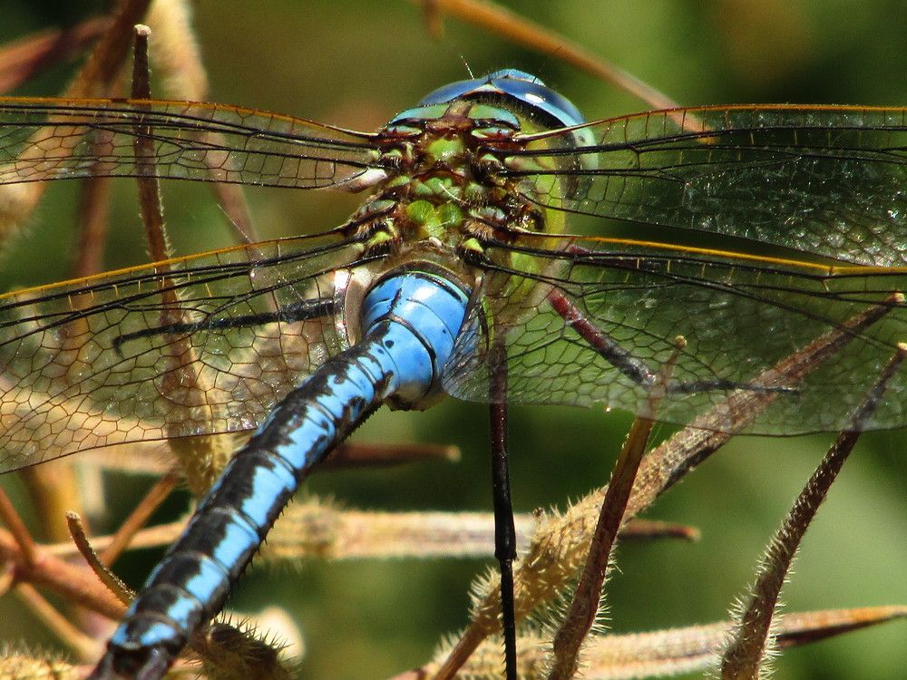 Photograph by Joana Almeida