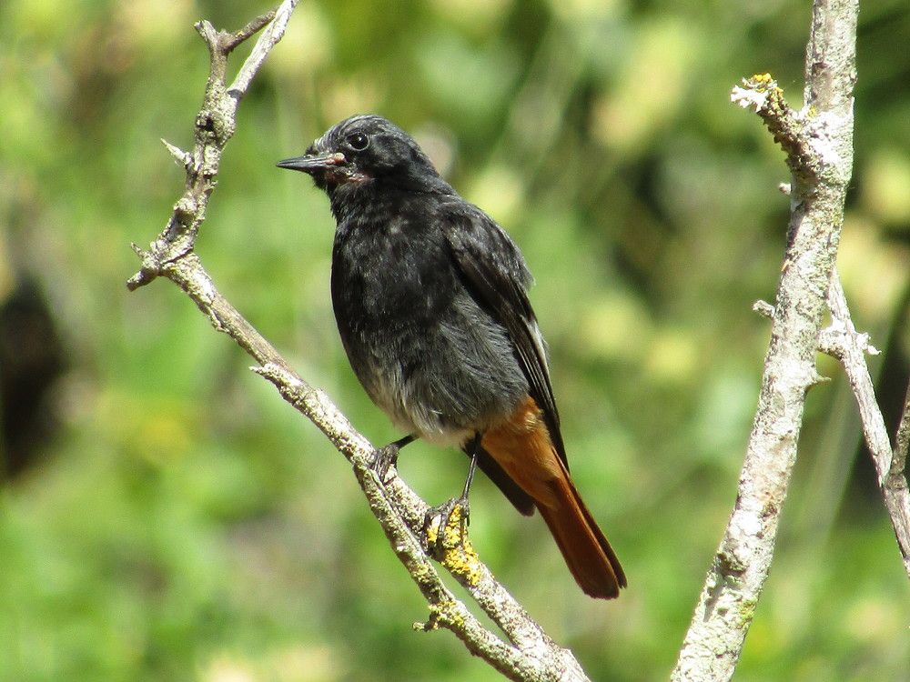 Photograph by Joana Almeida