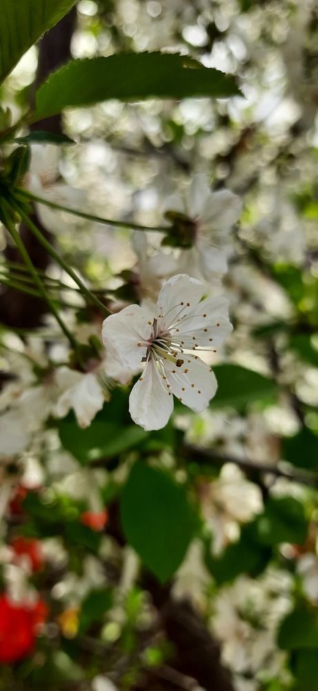 Фотография автора Ева Евстропова