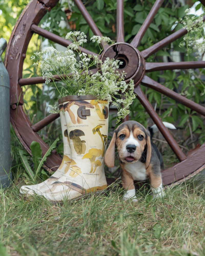 Photograph by Anna Sindikayeva