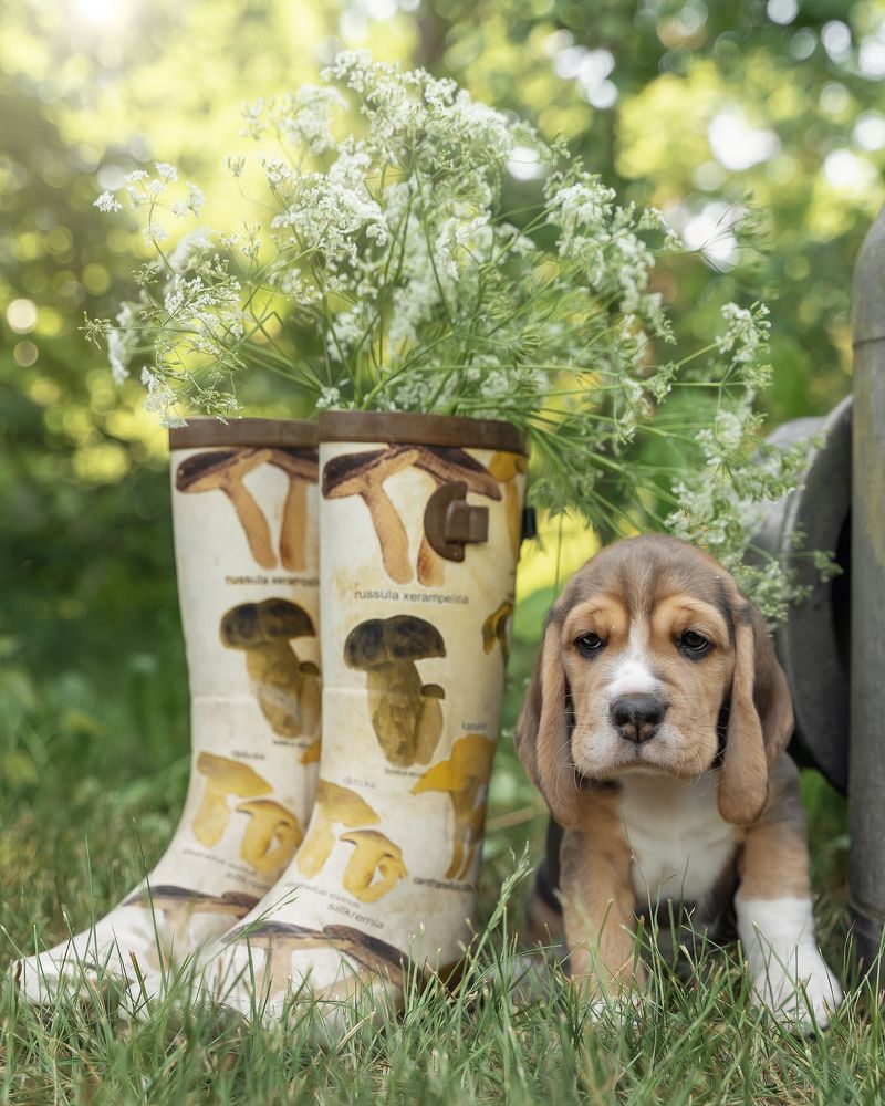 Photograph by Anna Sindikayeva