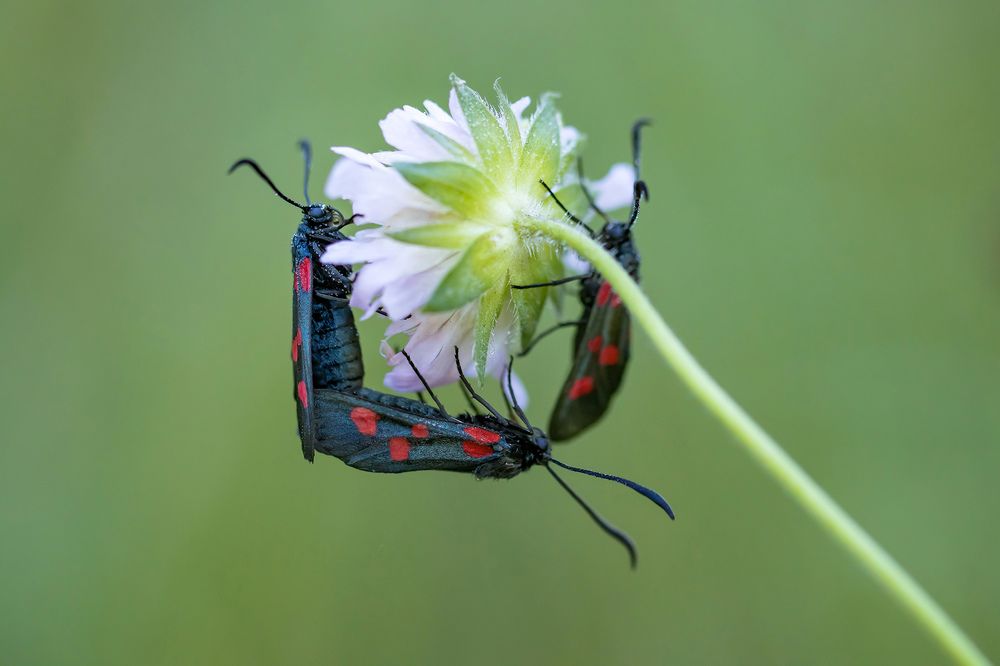 Photograph by Волынский Виктор