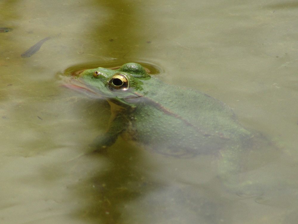 Photograph by Joana Almeida