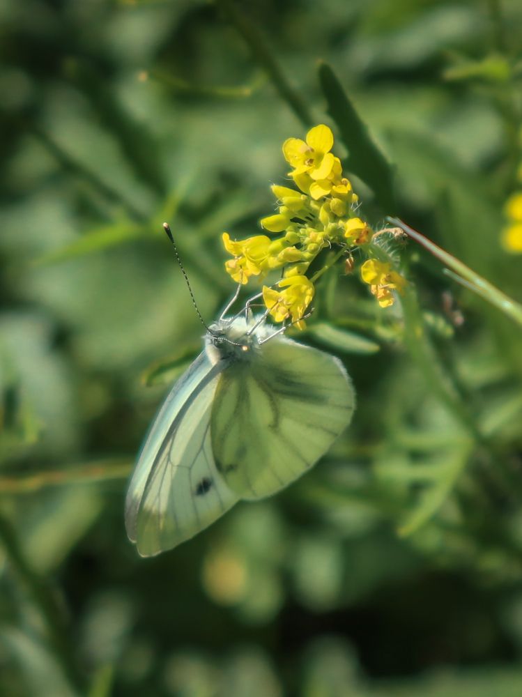 Photograph by Людмила