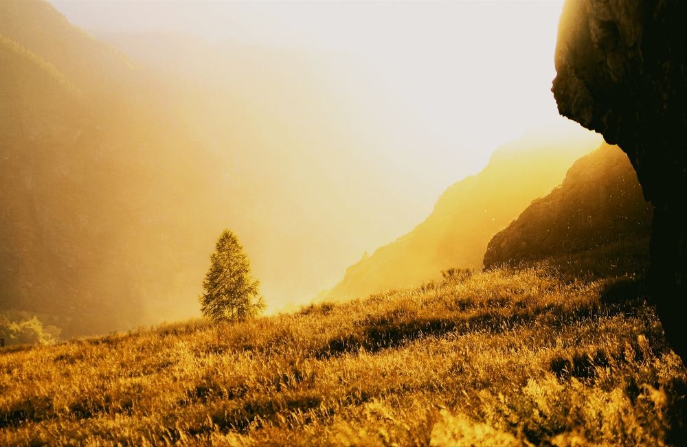 Photograph by Екатерина Юрьевна Иринархова