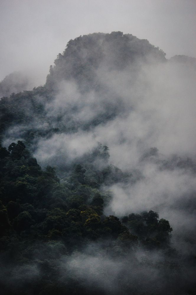 Photograph by Aditya Shinde