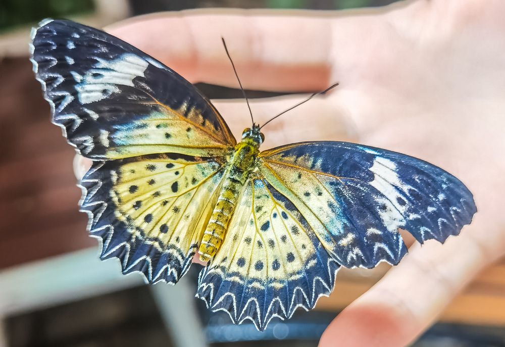 Photograph by Владимир Орлов