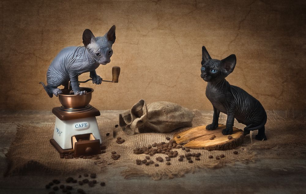 Photograph by Инна Сухова