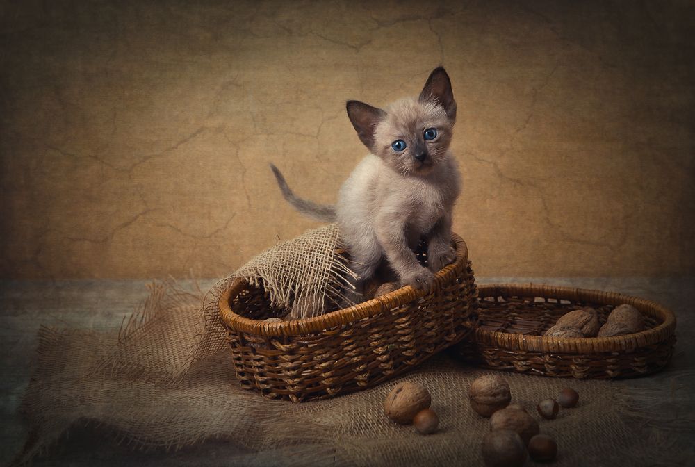 Photograph by Инна Сухова