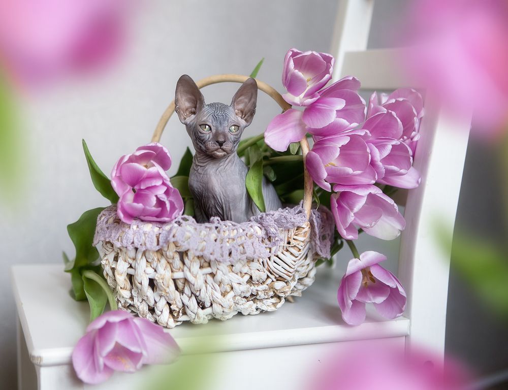 Photograph by Инна Сухова