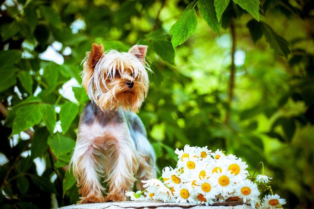 Photograph by Балакин Евгений