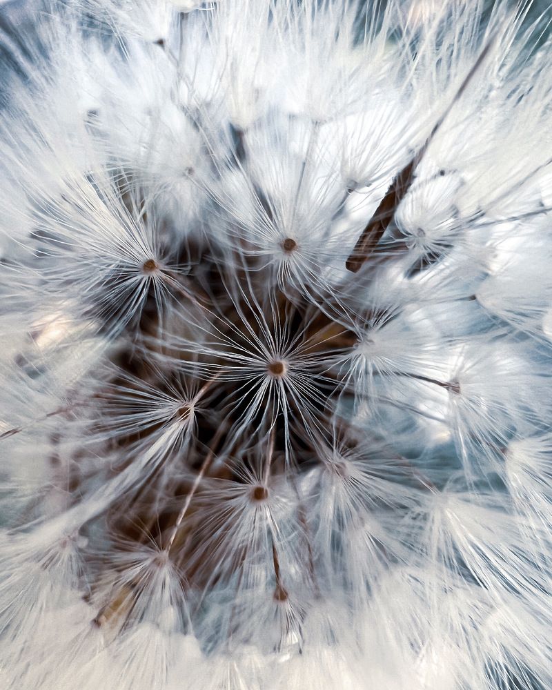 Photograph by Татьяна Волохова