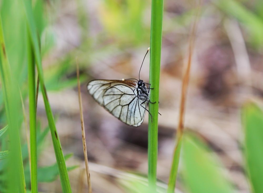 Photograph by Мария Андреева