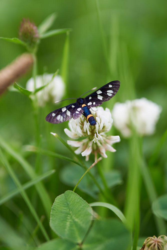 Фотография автора Дмитрий