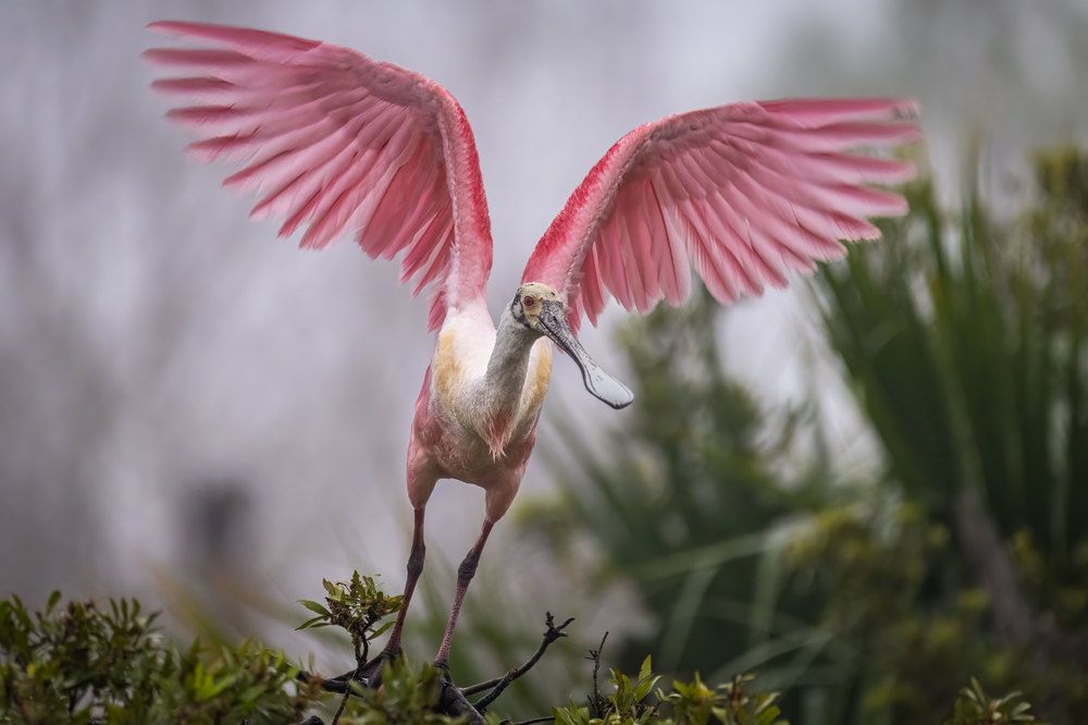 Photograph by Erik Nelson